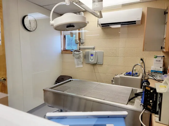 VCA East Penn Animal Hospital Picture 7