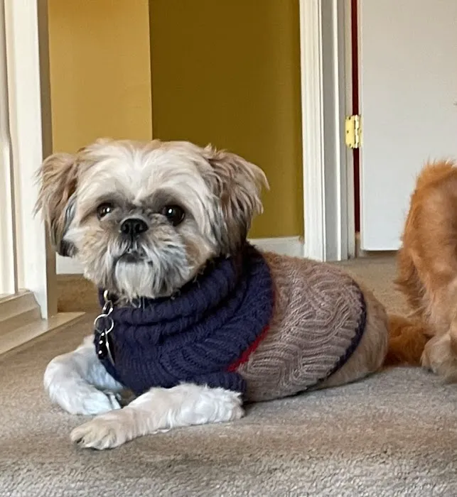 Petco Picture 4