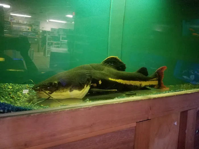Ocean Aquarium Picture 3