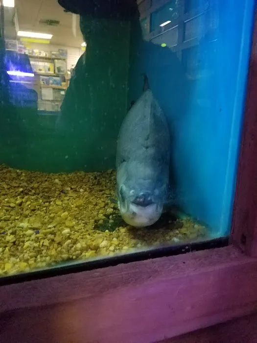 Ocean Aquarium Picture 4