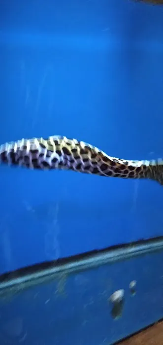 Ocean Aquarium Picture 6