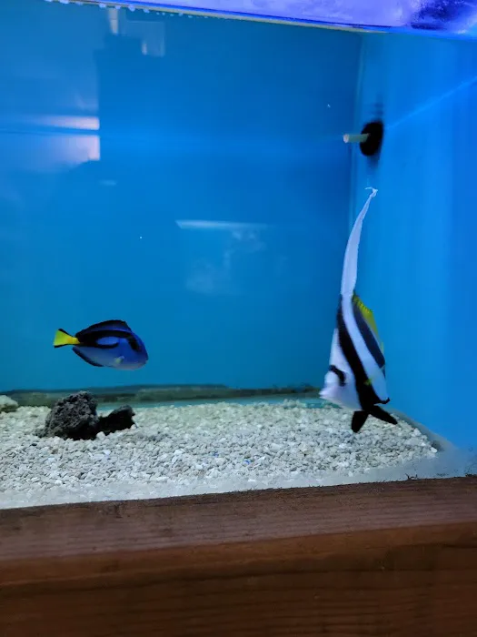 Ocean Aquarium Picture 5