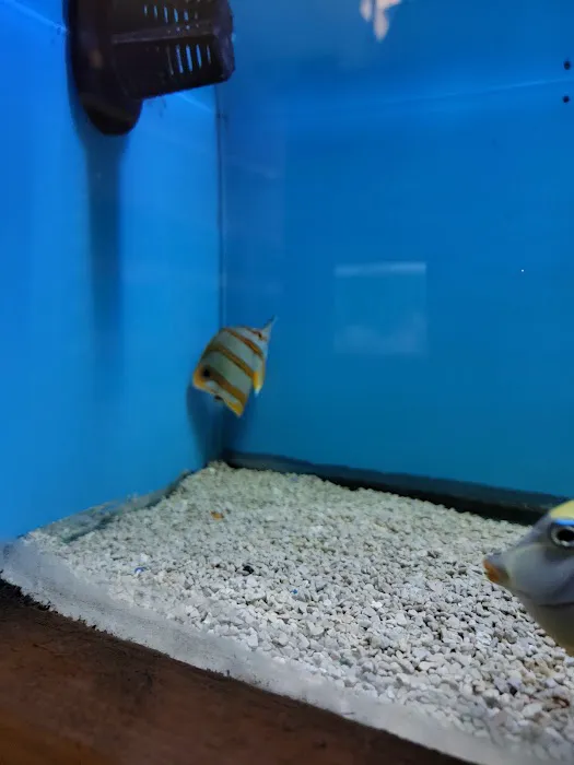 Ocean Aquarium Picture 9