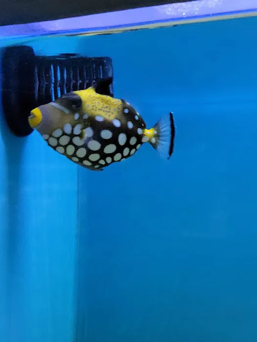 Ocean Aquarium Picture 7