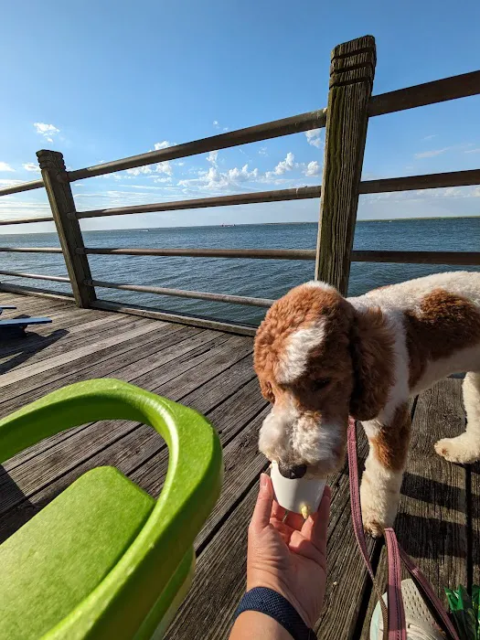 Doggie Beach Boutique Picture 3