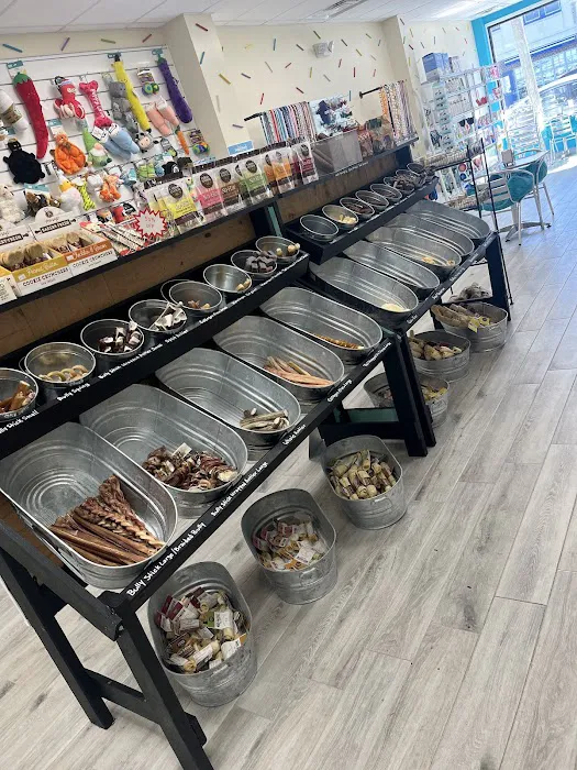 Doggie Beach Boutique Picture 2