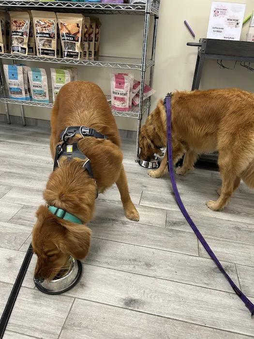 Doggie Beach Boutique Picture 8
