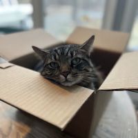 First State Urgent Vet - Newark ico