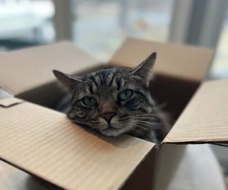 First State Urgent Vet - Newark