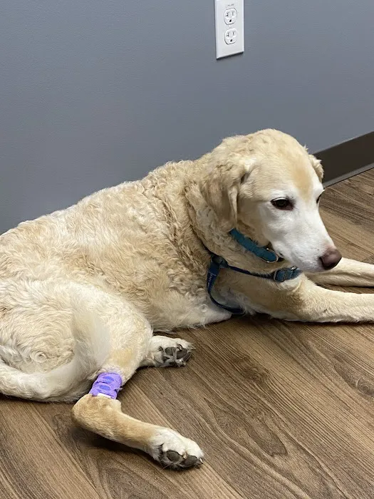 First State Urgent Vet - Newark Picture 2