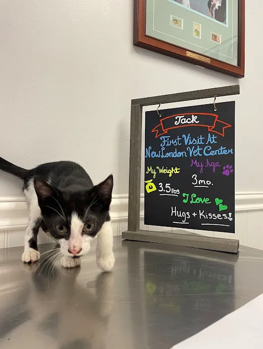 New London Veterinary Center Picture 4