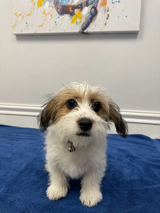 New London Veterinary Center Picture 10