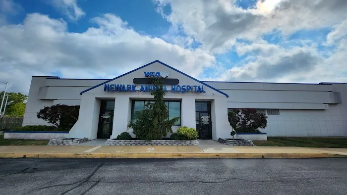 VCA Newark Animal Hospital Picture 1