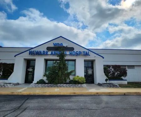 VCA Newark Animal Hospital