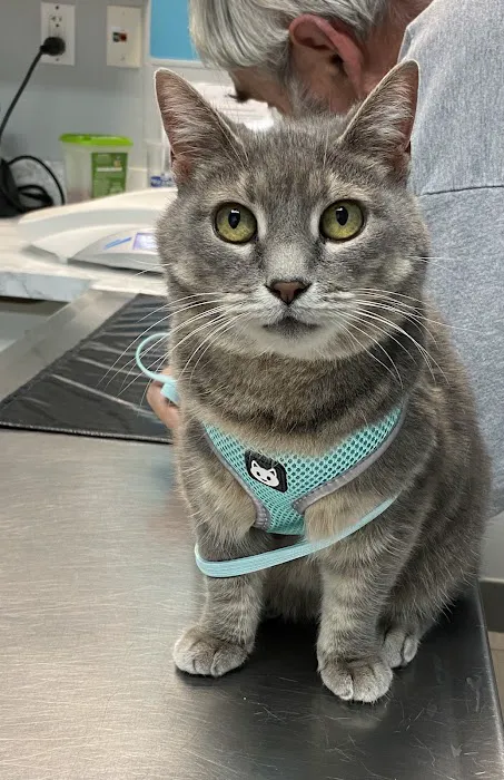 VCA Newark Animal Hospital Picture 10