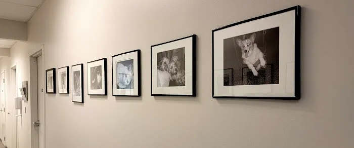 VCA Newark Animal Hospital Picture 7
