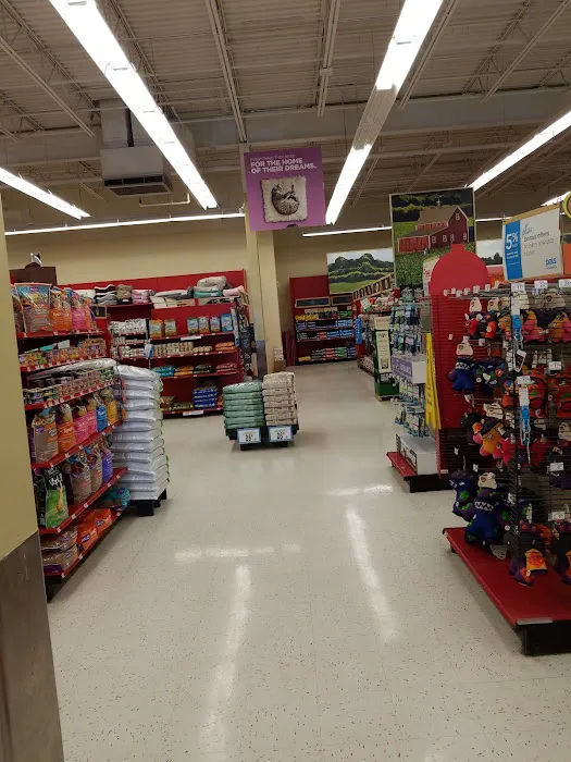 Petco Picture 6