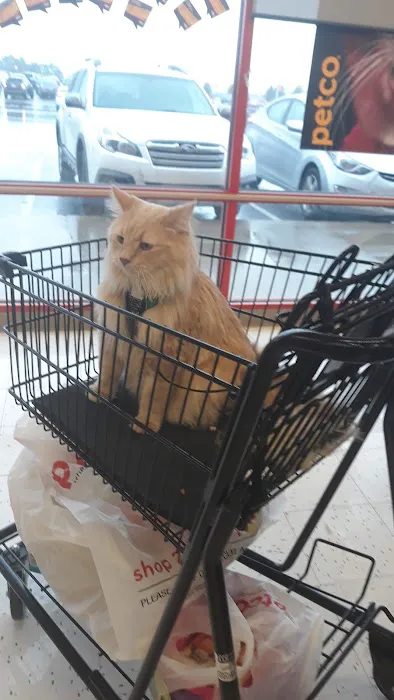 Petco Picture 7