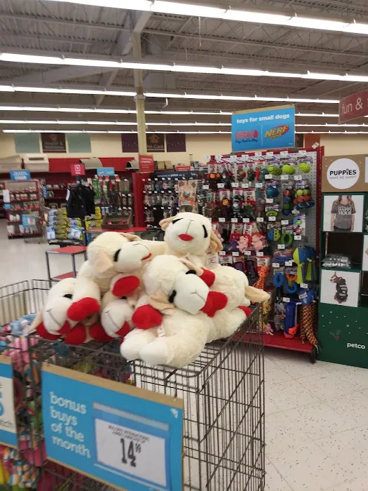 Petco Picture 10