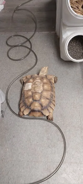 Cage-N-Tank Picture 7
