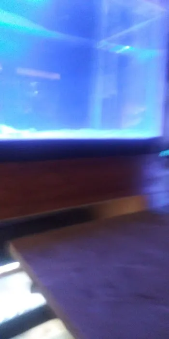 Cage-N-Tank Picture 8