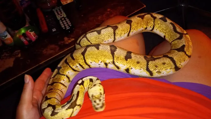 Cage-N-Tank Picture 10