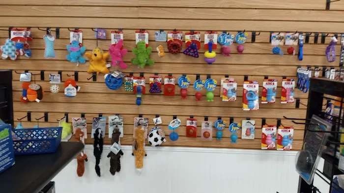 Petables Puppy Boutique Picture 3
