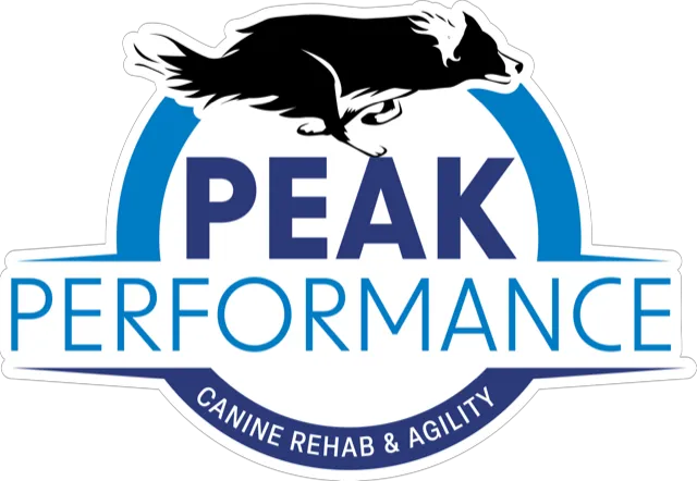 Peak Performance Canine Rehabilitation and Agility Picture 1