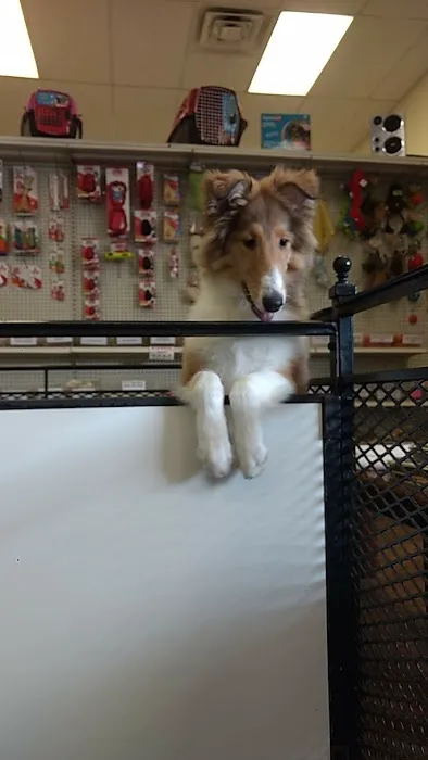 Tropic Pet Center Inc Picture 3
