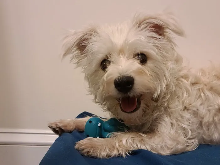 Tropic Pet Center Inc Picture 5