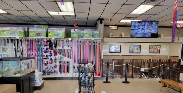 Tropic Pet Center Inc Picture 4