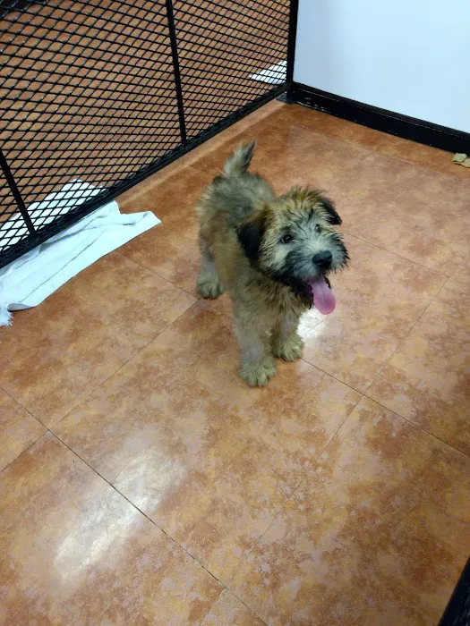 Tropic Pet Center Inc Picture 9