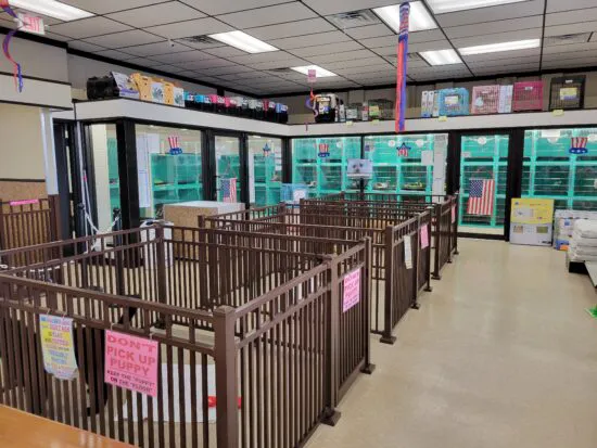Tropic Pet Center Inc Picture 8