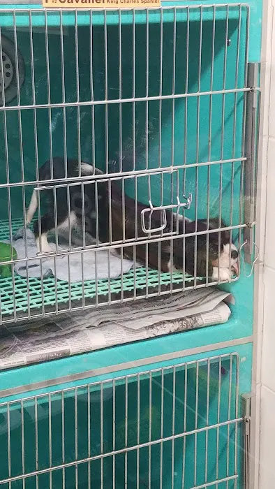 Tropic Pet Center Inc Picture 10