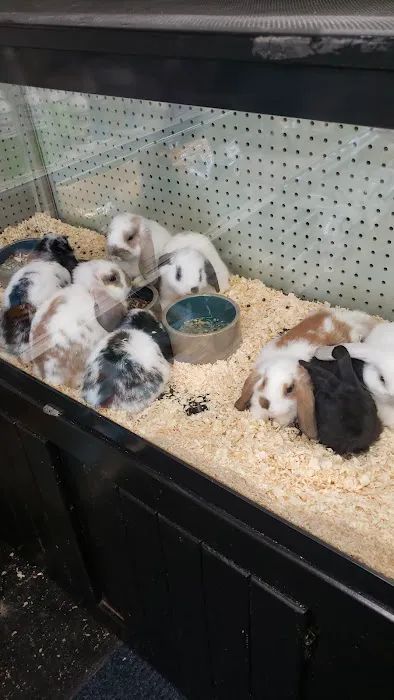 Tropic Pet Center Inc Picture 7
