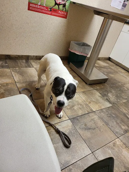 White Clay Creek Veterinary Hospital Picture 5