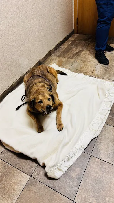 White Clay Creek Veterinary Hospital Picture 6