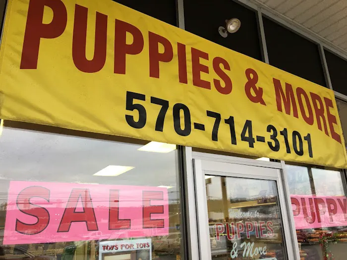 Puppies & More Picture 2