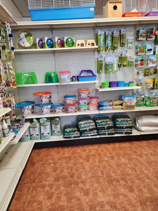 Puppies & More Picture 6