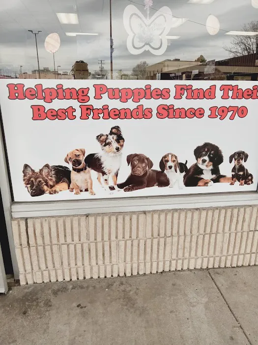 Puppies & More Picture 5