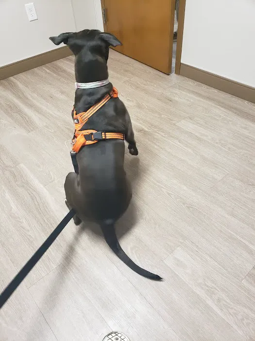 Red Lion Veterinary Hospital Picture 1