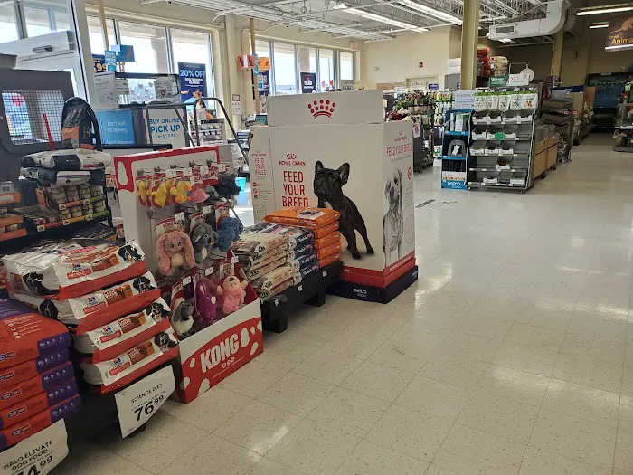 Petco Picture 2