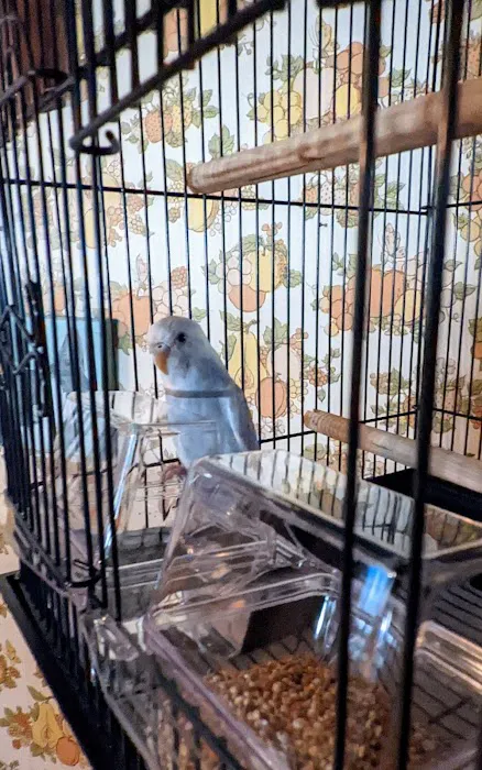 Petco Picture 1