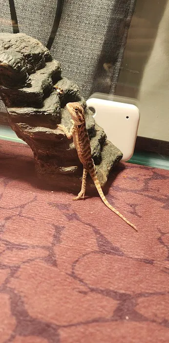 Petco Picture 7