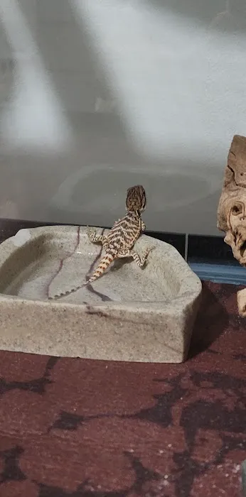 Petco Picture 4