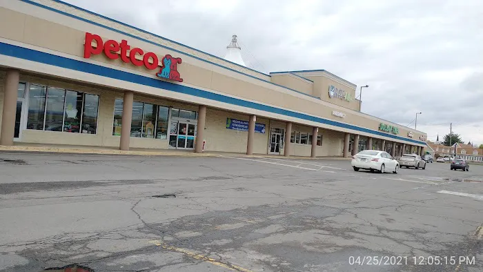 Petco Picture 10