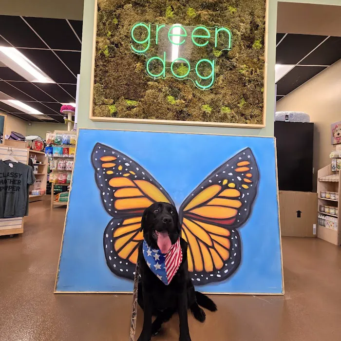 Green Dog Barkery Picture 2