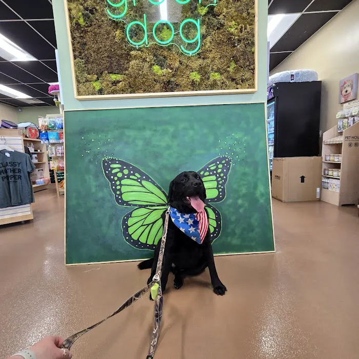 Green Dog Barkery Picture 5