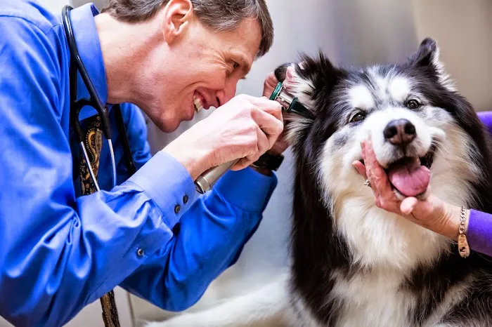 Glenmoore Veterinary Hospital Picture 1