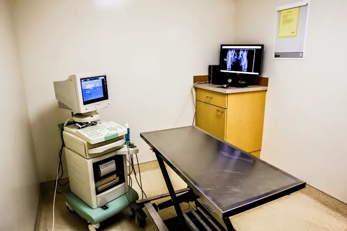 Glenmoore Veterinary Hospital Picture 2